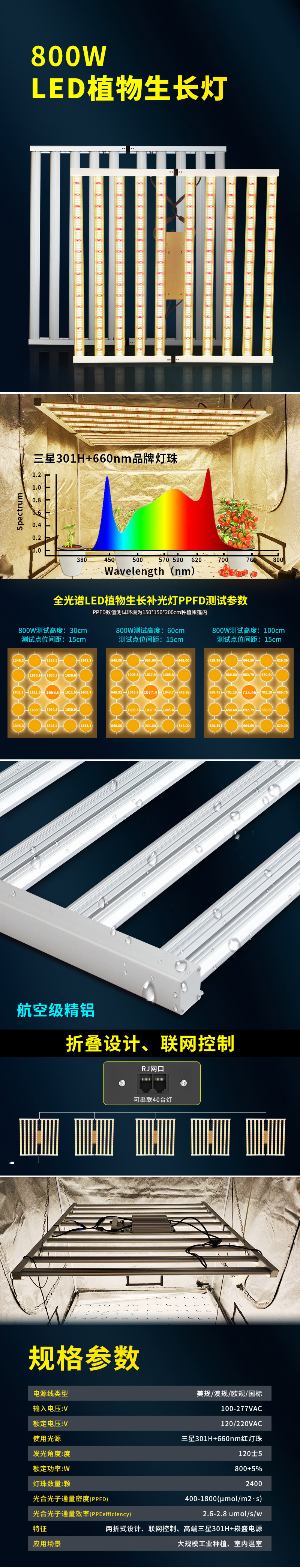 二折 八爪魚.jpg